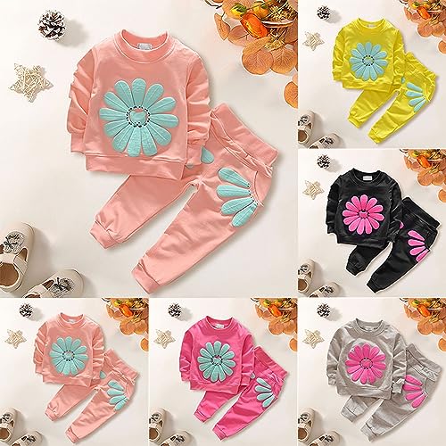 Girls Fall Winter Clothes Long Sleeve Daisy Print Pullover Crew Neck Sweater Top + Double Pocket Pants Outfits4