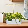 Hydroponic Growing System Indoor Herb Garden Aerogarden Vegetable Planter Germination LED Lighting Home Office Kitchen…