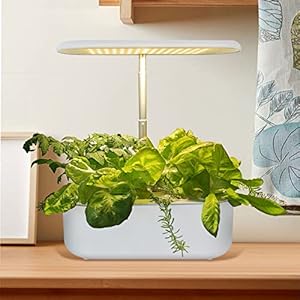 Hydroponic Growing System Indoor Herb Garden Aerogarden Vegetable Planter Germination LED Lighting Home Office Kitchen…