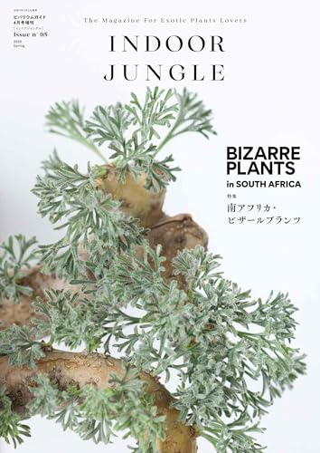 Amazon.co.jp: INDOOR JUNGLE: books, biography, latest update