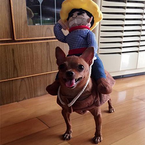 Costume Da Cowboy Per Cani E Gatti - Vestitino Western Per Halloween E Feste (Taglia L)