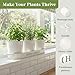 PERFNIQUE Indoor Herb Garden, Herb Planter for Indoor/Outdoor, Farmhouse Plant Pots, Windowsill Herb Garden with Tray(Planter only) Window Pots