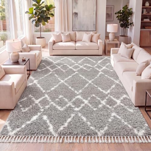 JONATHAN Y Mercer Shag Plush Tassel Gray/Ivory Indoor Area Rug, 4x6, Moroccan Geometric Trellis, Contemporary, Easy-Cleaning for Living Room, Bedroom, Kitchen, Pet Friendly, Non-Shedding (MCR102C-4)