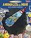 Produktbild Animales del mar (Libro linterna)