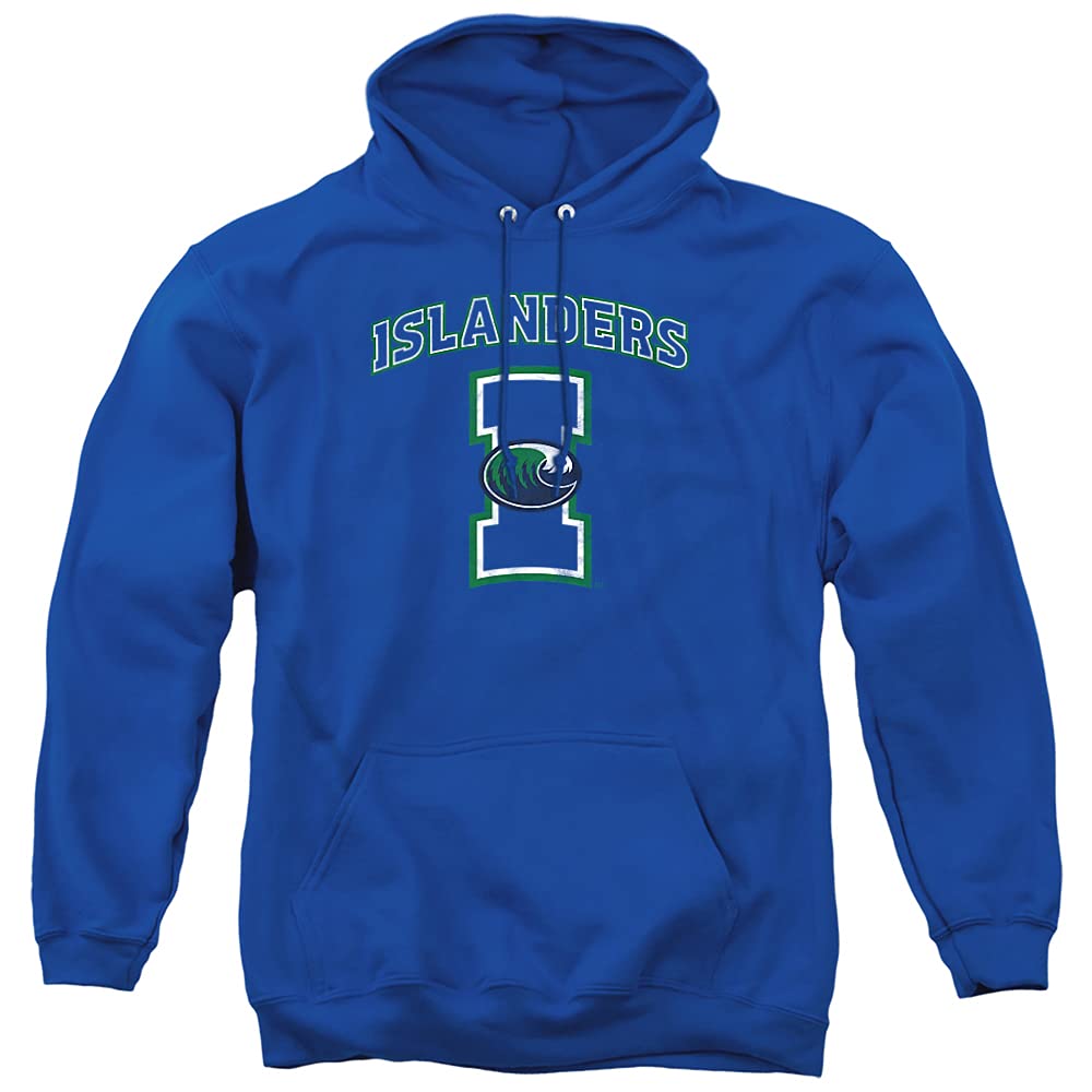 LOGOVISION Official Collegiate Distressed Primary Logo Adult Pullover Hoodie Collection — view 112