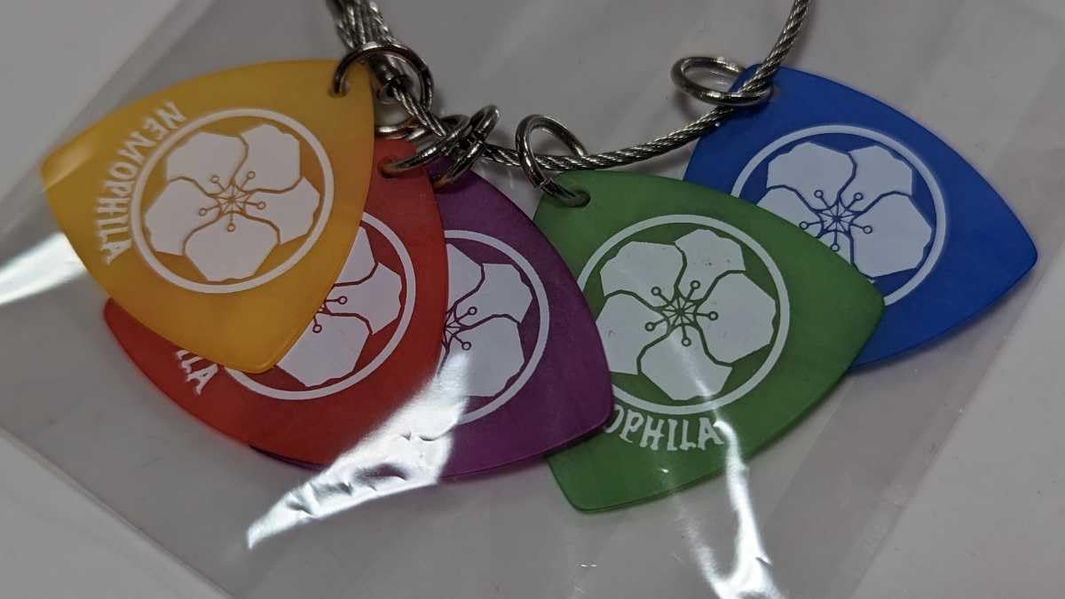 nemophila ハラグチサン ピック Ibanez】NEMOPHILA（ネモフィラ）の