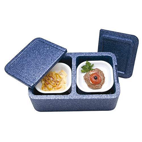 Auxo Box isotermico 2 vani