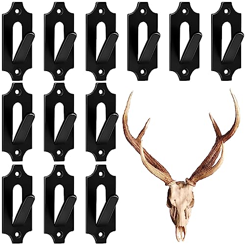 List of Top Ten Best European Skull Mount Hanger Top Picks 2023 Reviews