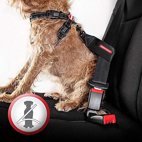EzyDog Hundegeschirr Chest Plate – Sicherheitsgeschirr mit Sicherheitsgurt-Adapter – Reflektierendes, Gepolstertes Geschirr für kleine, mittelgroße und große Hunde (XS, Schwarz)