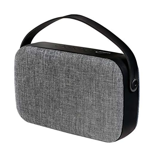 Typhoon TM042 bärbar XL Bluetooth (4.1) högtalare 10 W med handsamtal, FM-radio och Micro SD-kortplats svart/silver