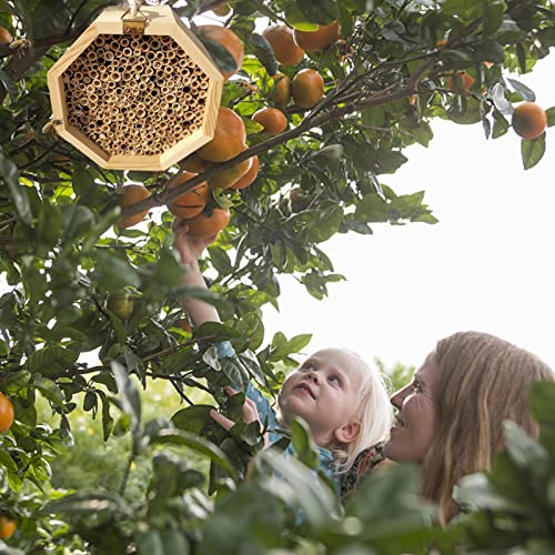 Ykop Bienenhotel - 15 X 15 X 9 cm | Insektenhotel Insektenhotel Bienen Bienenhotel Zum Aufhängen Nisthilfe Für… – Bild 4