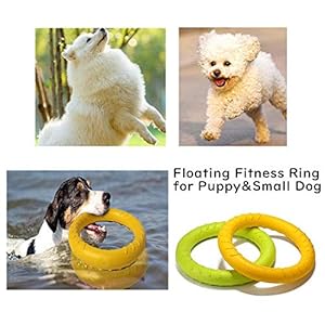 Pack of 2 Dog Toys Ring Water Floating, Outdoor Fitness Flying Discs, Tug of War Interactive Training Ring for Dogs ( 2 Size ,Yellow Pack of 2 Dog Toys Ring Water Floating Outdoor Fitness Flying Discs Tug of War Interactive Training Ring for Dogs 2 Size Yellow