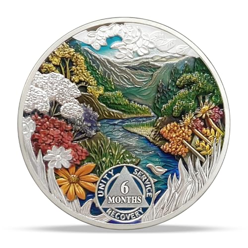 Image of Imasoner 6 Month Sobriety Coin Summer Four Seasons 180 Day AA Recovery Chip