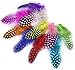 Piume di faraona, 100 pezzi di piume naturali maculate per fai da te arte artigianale collage copricapo casa matrimonio compleanno festa decorazione