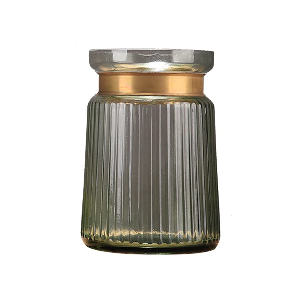 Jarron Florero Jarrón de vidrio, jarrón for flores, jarrón de flores secas for la decoración del hogar Jarrones de flores modernos for la decoración de la mesa de la sala de estar Jarrones Decorativos