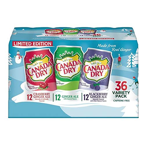 Evaxo Dry Ginger Ale Winter Variety Pack 36 x 12 fl oz .B