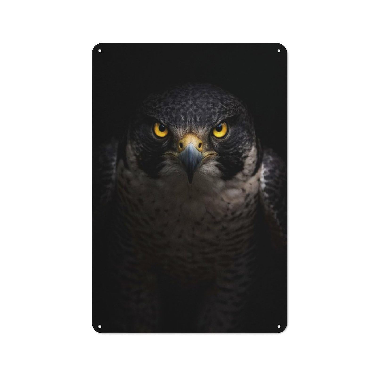 Junmoney Style-11 Tin Wall Plaque 30X20cm With Intense Peregrine Falcon Portrait For Hallway Wall, A Decorative Metal Sign For Hallways And Entrance Areas