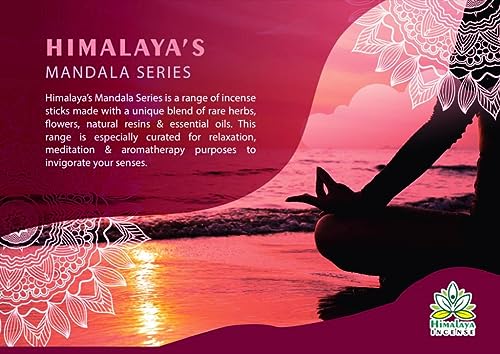 Image of Himalaya Premium Incense Sticks for Everyday Use Aroma Fragrance Sticks Pooja Room Items for Home & Prayers Freshness Positive Energy (Sandal Incense) (Pack of 12, Each of 15 GM)