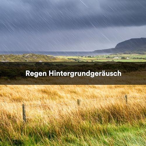 Regenschauer