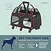 Katziela Pet Carrier with Removable Wheels - Soft Sided, Airline Approved Small Dog and Cat Carrying Bag with Telescopic Walking Handle, Mesh Ventilation Windows and Safety Leash Hook (Black) (Black)