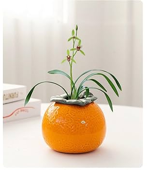 Amazon.co.jp: オレンジ 形 花瓶 ガラス 水耕栽培 陶器花瓶