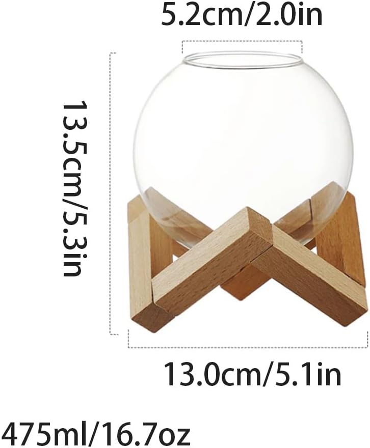 Exquisite Creative spherical glass cup with wooden stand bar glassware beverage glasses clear whiskey cocktail glasses coffee mug Practical