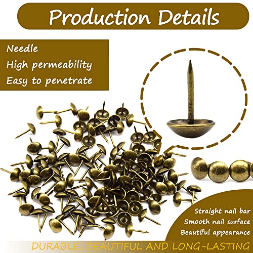 Ruidee 200 PCS Antique Upholstery Tacks, Furniture Decorative Thumbtacks, Push Pins (STD/Bronze), Gold - Image 3