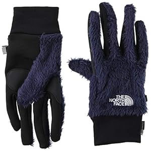 [ザノースフェイス] グローブ バーサロフトイーチップグローブ NN61918