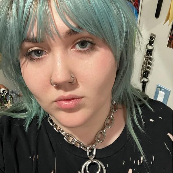 Statement Thick O Ring Chain Choker Stainless Steel Heavy Chunky Chain collar Silver Punk Goth Grunge Alternative Industrial For Women Jewelry4