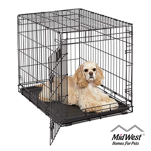 Medium Dog Crate | MidWest Life Stages 30" Folding Metal Dog Crate |