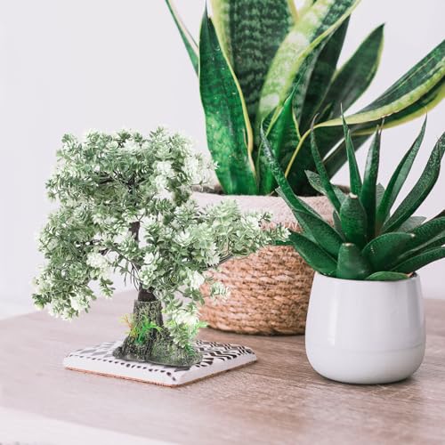 Image of POPETPOP Aquarium Tree Decor Fake Bonsai Plant 4.13X2.36X10.62In Plastic Fish Tank Ornament for Freshwater and Saltwater Aquariums Home Office Table Decoration