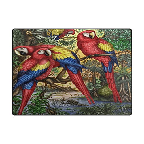 Alaza Cute Parrot Bird Artwork Area Rug Rugs For Living Room Bedroom 5'3"X4' #TOP1