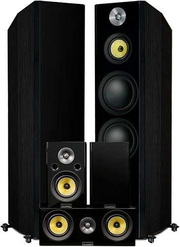 Fluance Sistema de altavoces de canal 5.0 con sonido envolvente HiFi de alta fidelidad, incluye torres de pie de 3 vías, canal central y altavoces