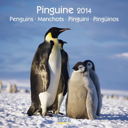 Pinguine 2014. Broschürenkalender Pinguine 2014. Broschürenkalender