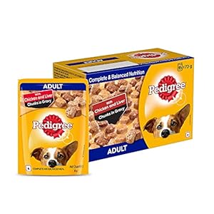 Pedigree Wet Food for Adult Dogs, Chicken & Liver Chunks in Gravy Flavour, Pack of 15 (15 x 70g)