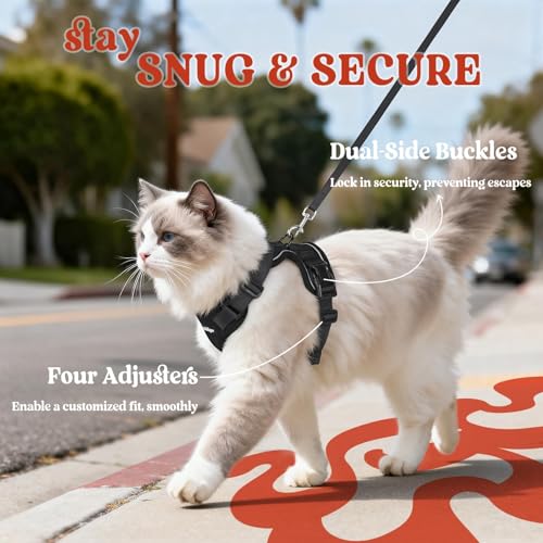 Image of rabbitgoo Cat Harness and Leash Set, Escape Proof Vest, Black | Soft Breathable Mesh, Easy Adjustable Fit, Snap Buckles, Sturdy Clip, Reflective Strips, for Average Cats Walks, S