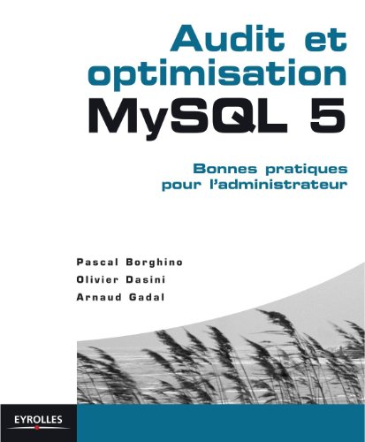 Télécharger Audit et optimisation MySQL 5 : Bonnes pratiques pour l'administrateur (Blanche) Francais PDF