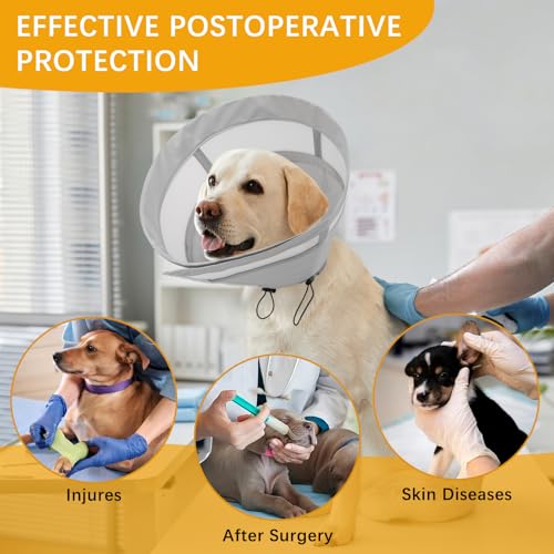 Image of ASENKU Dog Cone Collar, Soft Adjustable Cone for Dogs to Stop Licking, Lightweight Recovery Dog Cone After Surgery, Pet E-Collar for Small, Medium & Large Dogs(Grey, M)