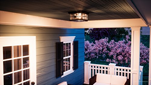 Urban Ambiance Luxury Craftsman Outdoor Ceiling Light, Small Size: 5.75" H X 12" W, With Tudor Style Elements, Highly-Detailed Design, High-End Black Silk Finish And Water Glass, Uql1248 #TOP1