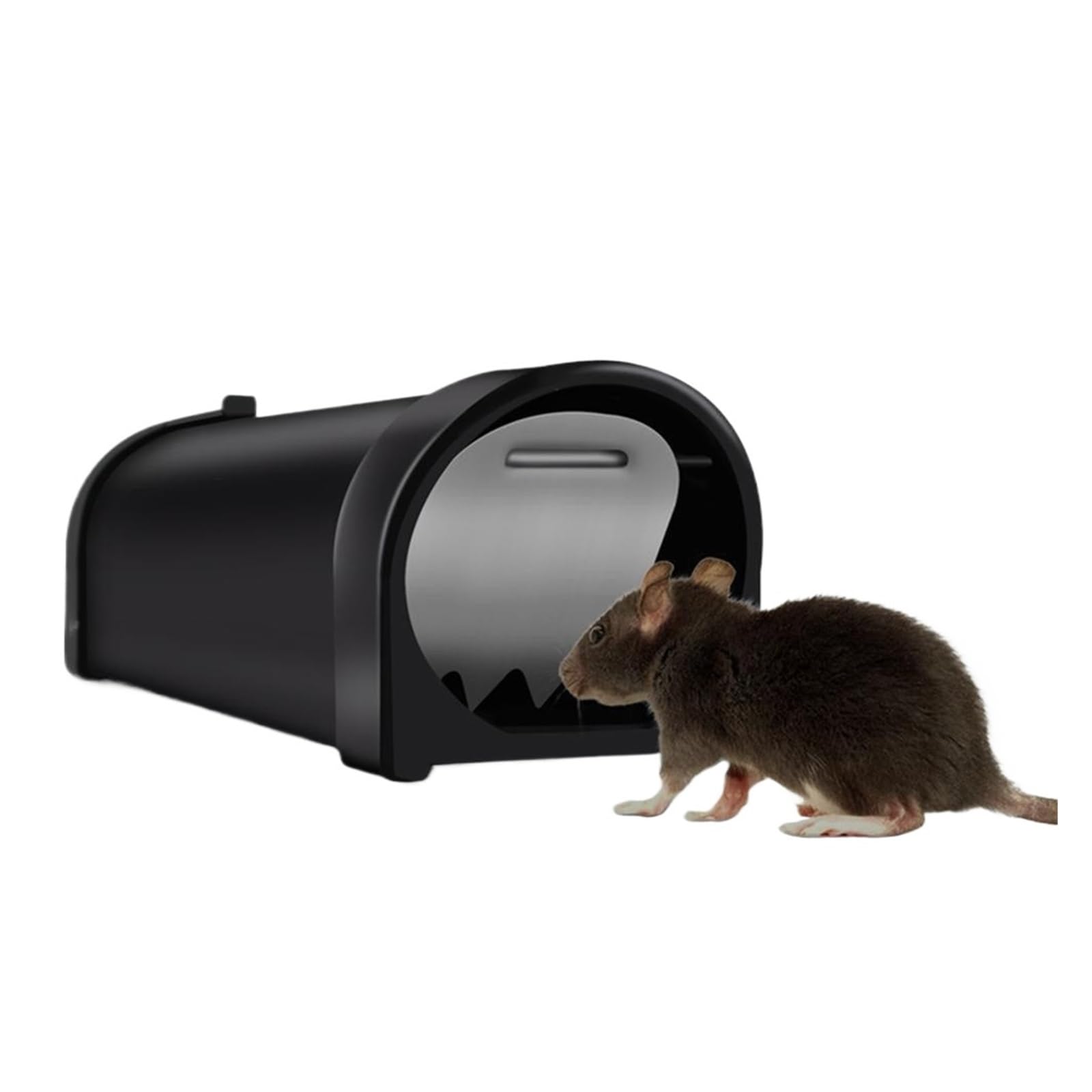 Trampas para ratas y ratones idóneas para proteger jardines domésticos