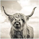 YANGMENGDAN Druck auf leinwand schwarz und weiß Highland Cow Cattle Wand leinwand Kunst Nordic malerei Poster und Druck skandinavischen wandbild für Wohnzimmer 80x80cmx1 stück kein Rahmen