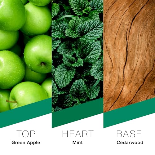 PrêT à Porter London Eau De Parfum Per Uomo 100 Ml - 7