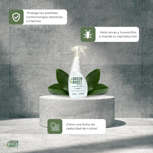 Cuidado Femenino, Guild Imagen adicional