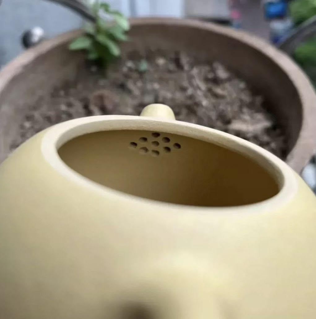 Amazon | 食器 茶器 中國茶器 急须 紫砂茶壷 中国宜興製 段泥