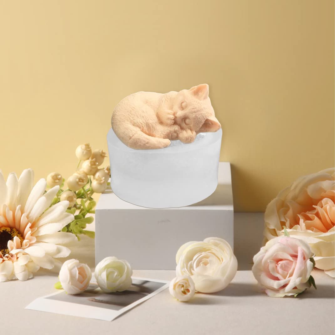 Molde De Resina De Pata De Gato Molde Epoxi De Pata De Gato | Envío Gratis