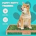 Fresh Patch Real Grass Patch for Dogs, Cats, and Small-Medium Pets Under 15 Pounds – Disposable Pet Grass Pee Pads – Indoor and Outdoor Potty Training Mat (16 Inches x 24 Inches)