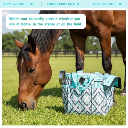 Abbylike 12 Piece Horse Grooming Kit with Organizer Tote Bag Brush Sets for Derby Day Show Horses Professional Tools for Care & Massage(Mint Green and Grey) - Image 5