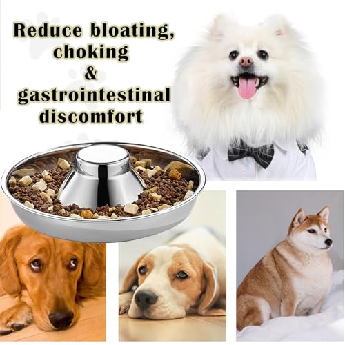 Nexboraque 2 Stück Edelstahl-Welpennäpfe – 25,4 cm Welpen-Futterspender Langsame Futternäpfe für mehrere Welpen – Futter- und Wassernapf für kleine Hunde, Katzen
