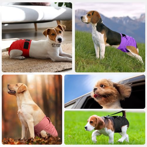 Image of Dog Diapers Female 5pcs,Reusable Dog Doggie Puppy Doggy Diapers Female, Period Panties in Heat, Red, XLarge