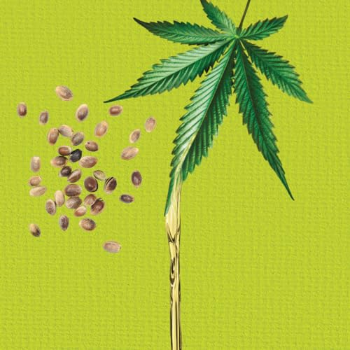 Nature Box - Shampoing Solide 3 en 1 Antipelliculaire - A...